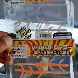 遊漁船　ニライカナイ 釣果