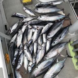 へいみつ丸 釣果