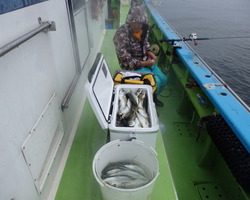 久里浜黒川本家 釣果