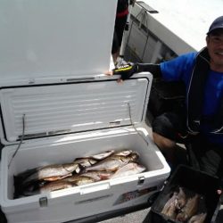 第二大福丸 釣果