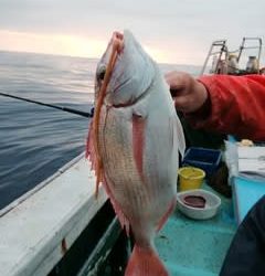 松福丸 釣果