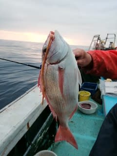 松福丸 釣果