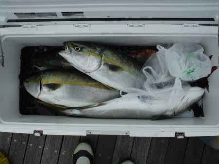 遊漁船 遊友 釣果