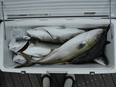 遊漁船 遊友 釣果