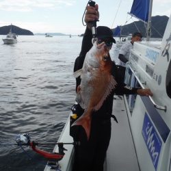 遊漁船 遊友 釣果