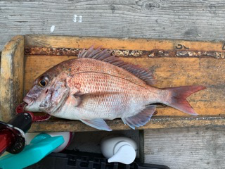 幸吉丸 釣果