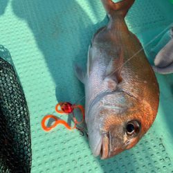 さんさん丸 釣果