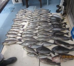 第十八吉栄丸 釣果