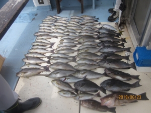 第十八吉栄丸 釣果