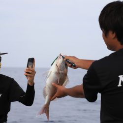 クルーズ 釣果