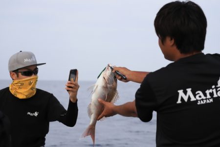 クルーズ 釣果