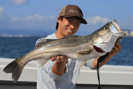 クルーズ 釣果