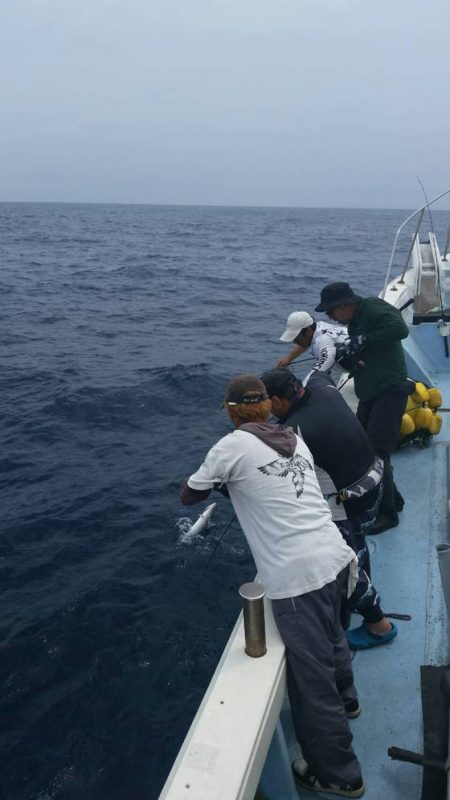 第五慶門丸 釣果