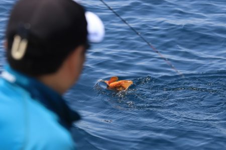 クルーズ 釣果