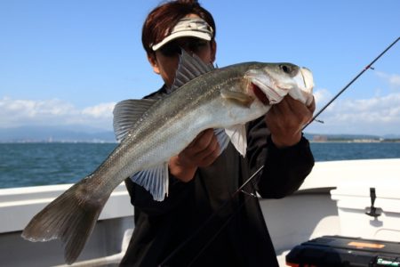 クルーズ 釣果