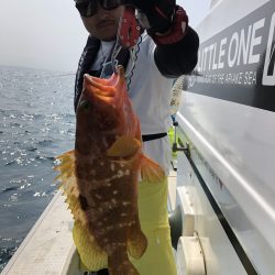 リトルワン 釣果