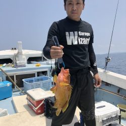 リトルワン 釣果