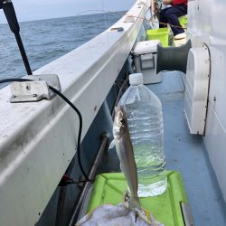 リトルワン 釣果