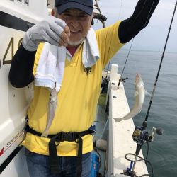 リトルワン 釣果