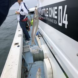 リトルワン 釣果