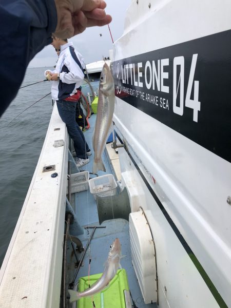 リトルワン 釣果