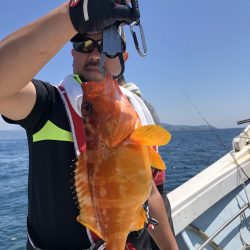 リトルワン 釣果