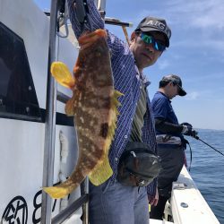 リトルワン 釣果