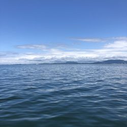 リトルワン 釣果