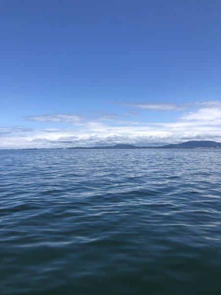 リトルワン 釣果