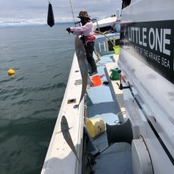 リトルワン 釣果