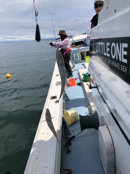 リトルワン 釣果