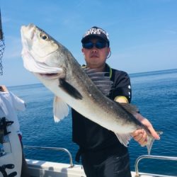 シーモンキー 釣果