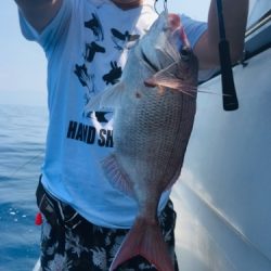 シーモンキー 釣果