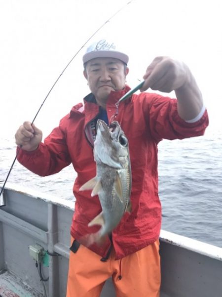 たいし丸 釣果