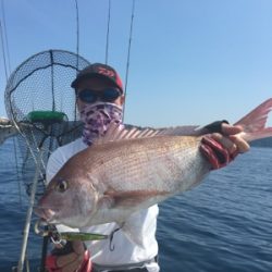 シーモンキー 釣果