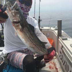 シーモンキー 釣果