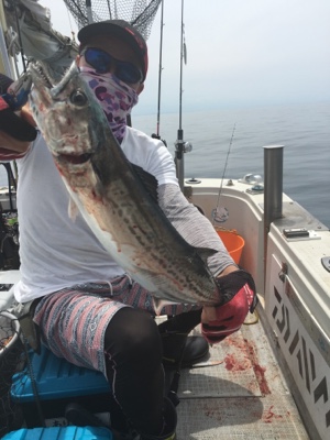 シーモンキー 釣果