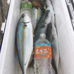 シーモンキー 釣果