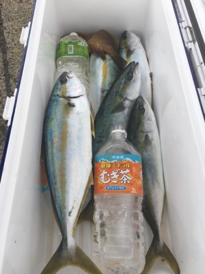 シーモンキー 釣果