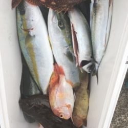 シーモンキー 釣果