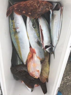 シーモンキー 釣果