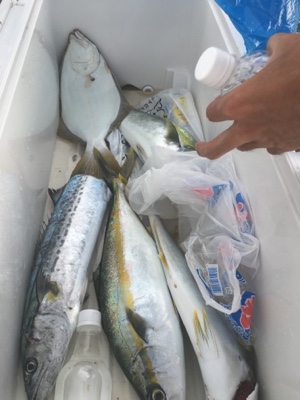 シーモンキー 釣果