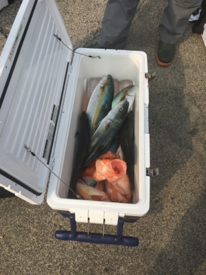 シーモンキー 釣果