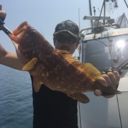 シーモンキー 釣果