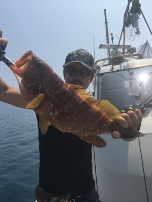 シーモンキー 釣果