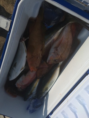 シーモンキー 釣果