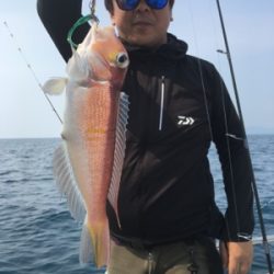 シーモンキー 釣果