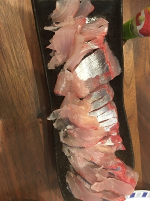 シーモンキー 釣果