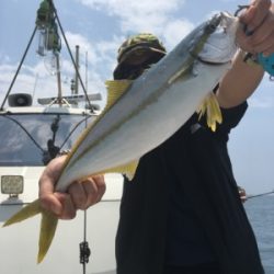 シーモンキー 釣果