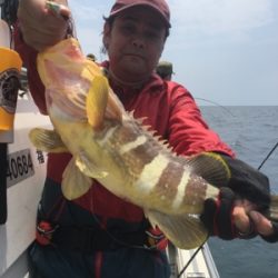 シーモンキー 釣果